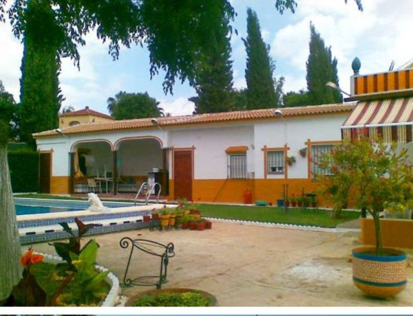 Chalet independiente en venta en , Aznalcazar photo 3