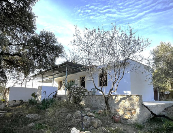 Finca rustykalna na sprzedaż w , Casarabonela photo 3