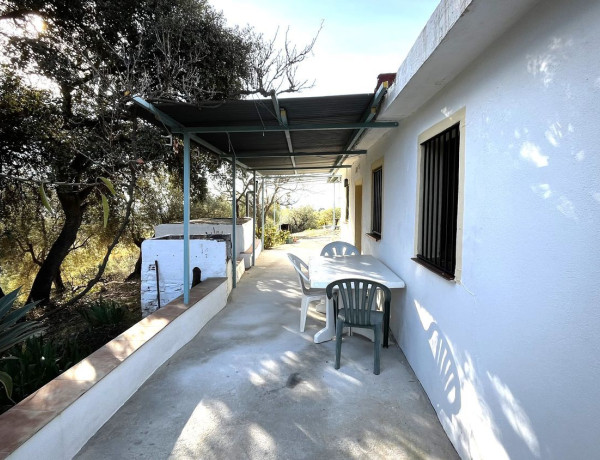 Finca rustykalna na sprzedaż w , Casarabonela photo 4