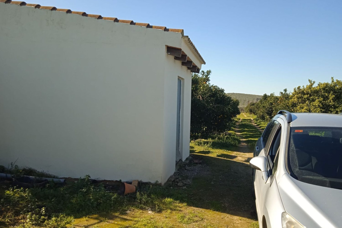 Terreno en venta en Pilas, Sevilla photo 4
