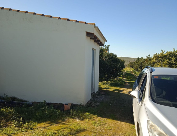Terreno en venta en Pilas photo 4