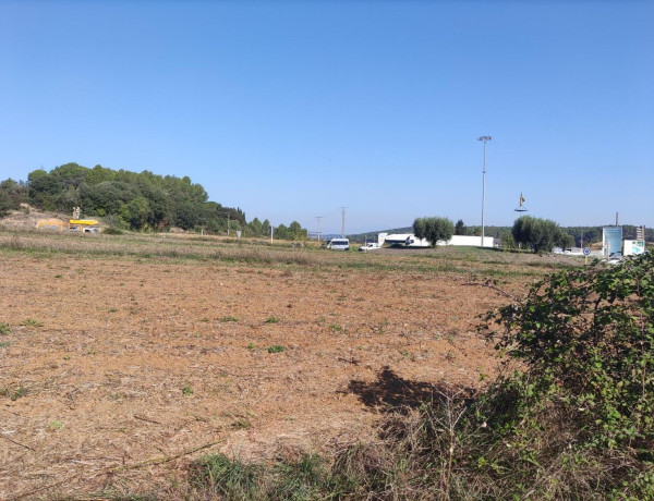 Terreno en venta en Saus photo 4