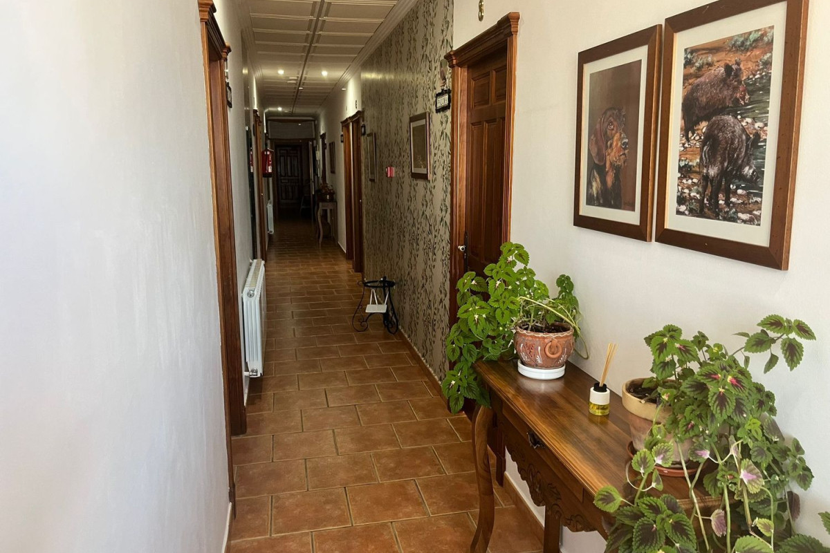 Propiedades en venta y alquiler en España photo 3