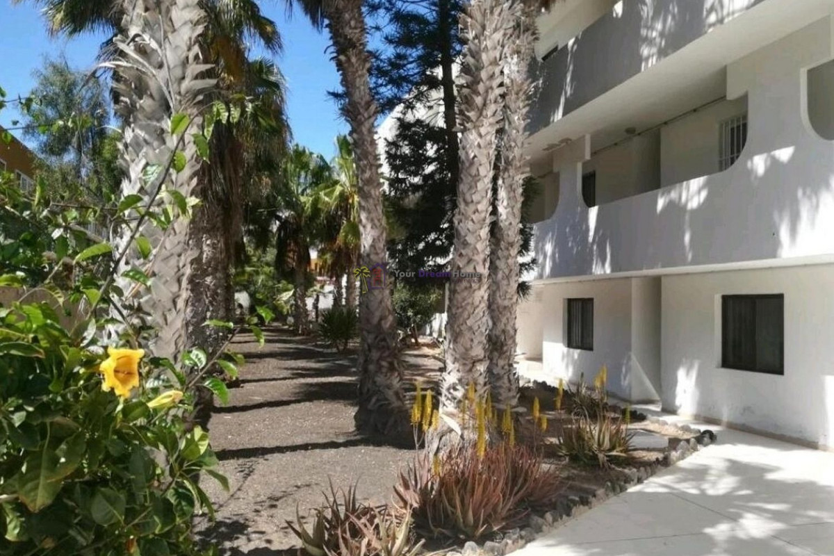 Piso en venta en calle berlina, Антигуа
 photo 2