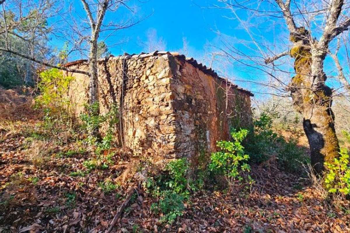 Terreno en venta en Galaroza, Huelva photo 1