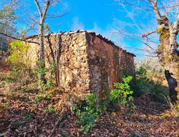 Terreno en venta en Galaroza photo 1