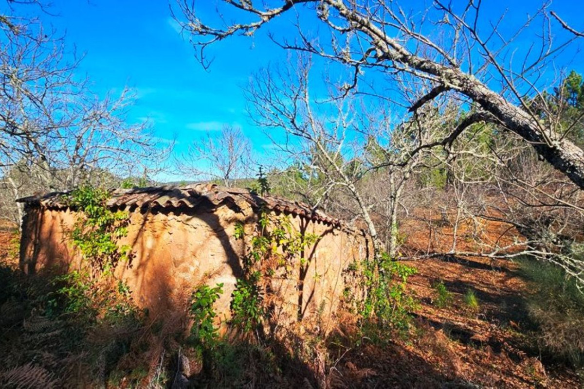 Terreno en venta en Galaroza, Huelva photo 4