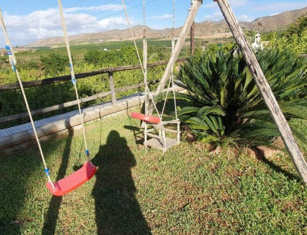Terreno en venta en palo verde photo 2