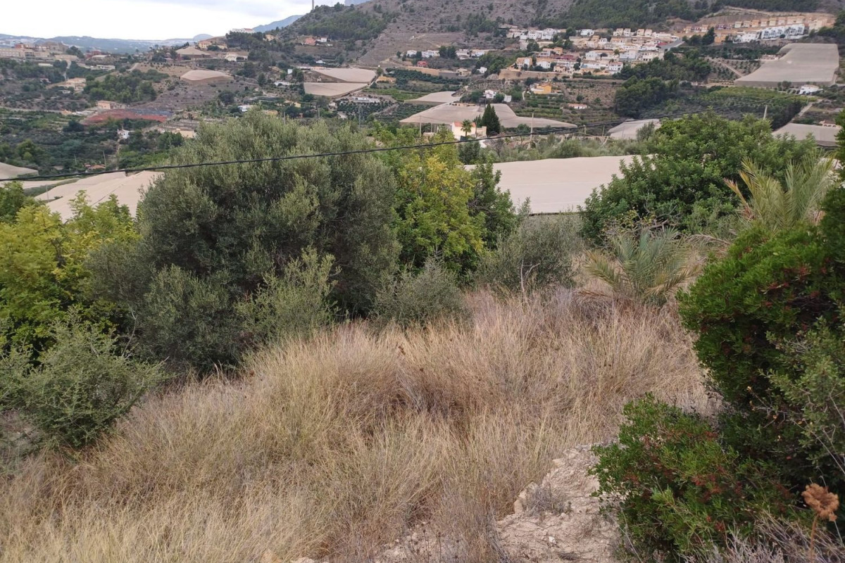 Land for sale in Callosa d'En Sarria, Alicante photo 2
