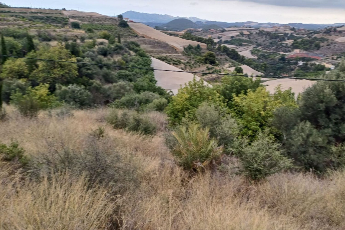 Land for sale in Callosa d'En Sarria, Alicante photo 3