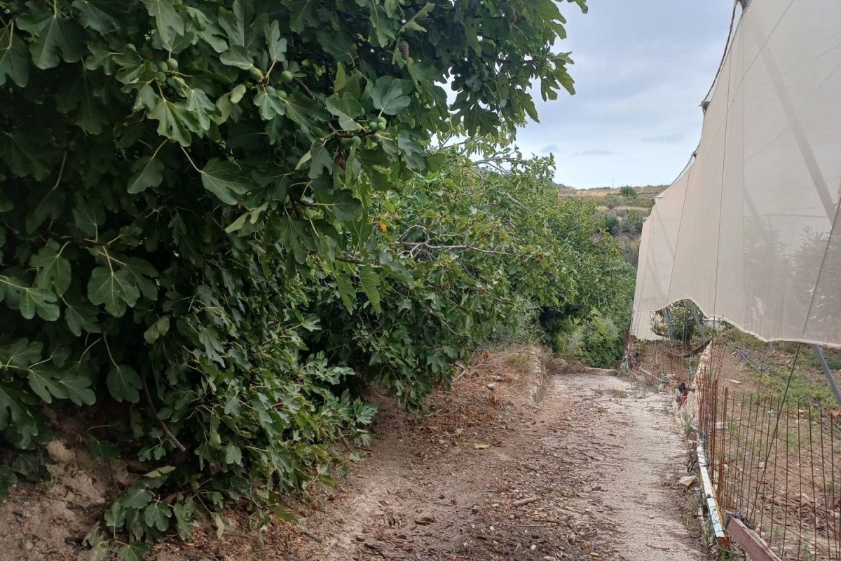 Land for sale in Callosa d'En Sarria, Alicante photo 4