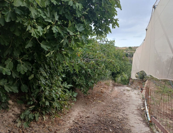 Terreno en venta en Partida Onaer photo 4