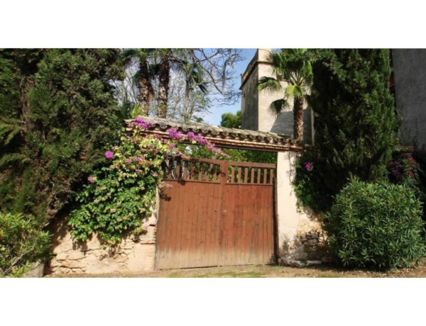 Edificio en venta en La Mora photo 4