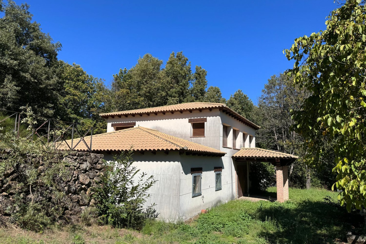 Venta de finca rústica en , Peñacaballera photo 4