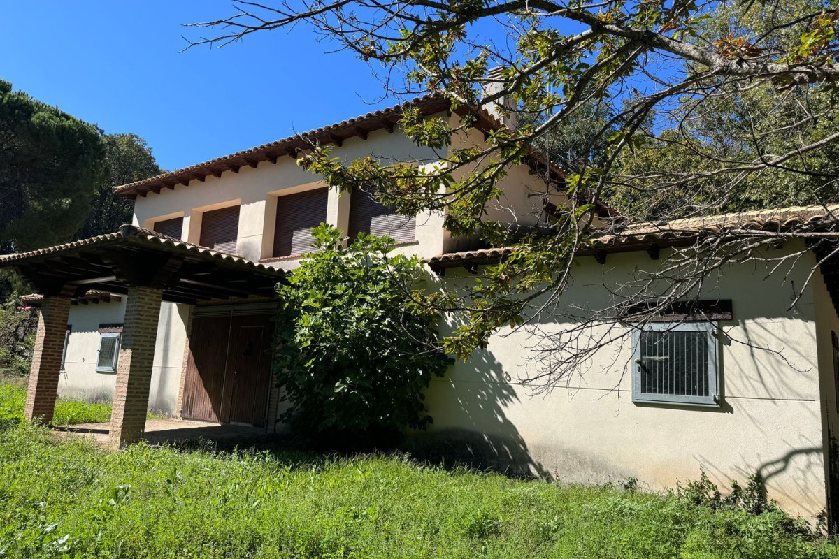 Venta de finca rústica en , Peñacaballera photo 5