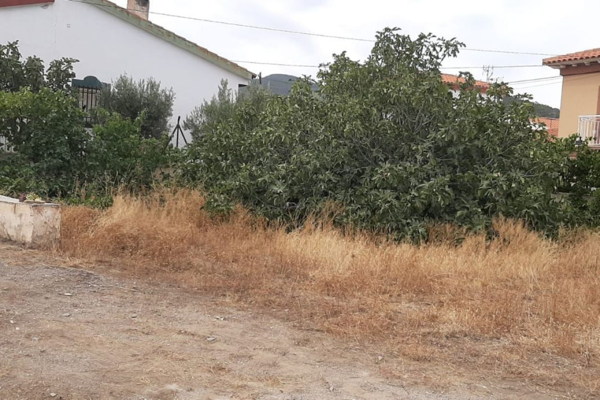 Terreno en venta en Dolar, Granada photo 4