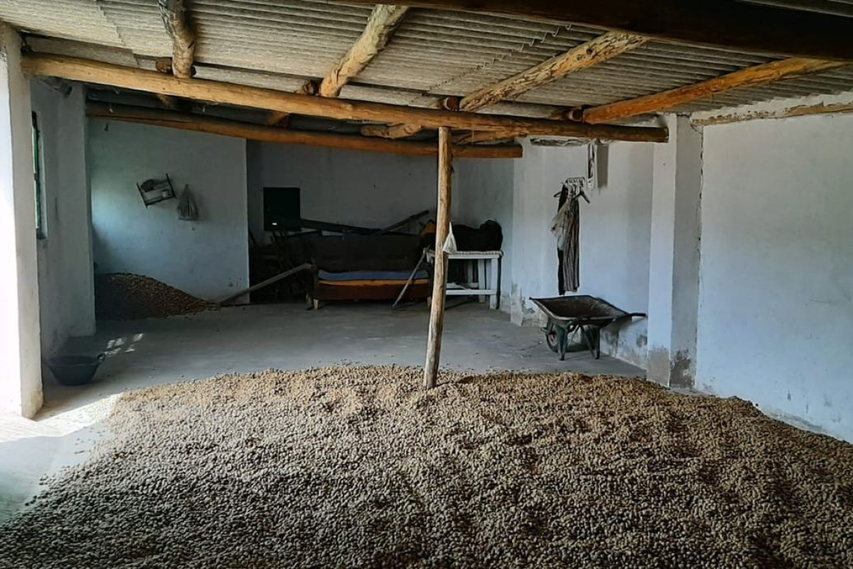 Casa o chalet independiente en venta en calle andalucia, 9, Dolar
 photo 5