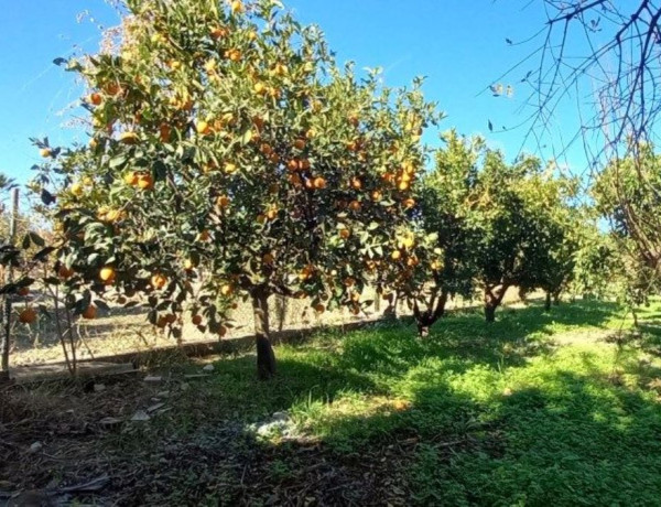 Четырехквартирный дом на продажу на Педанийас Оэсте , Мурсия photo 1