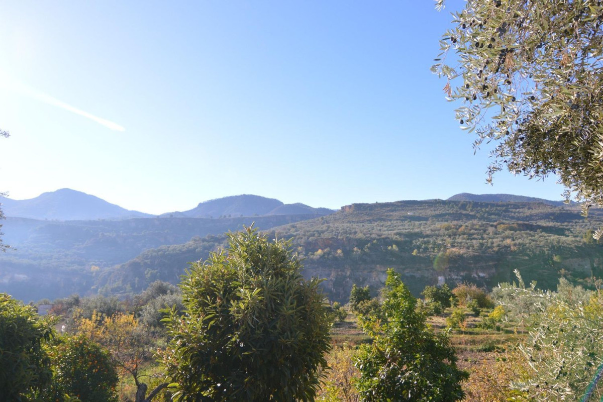 Land for sale in Albuñuelas, Granada photo 2
