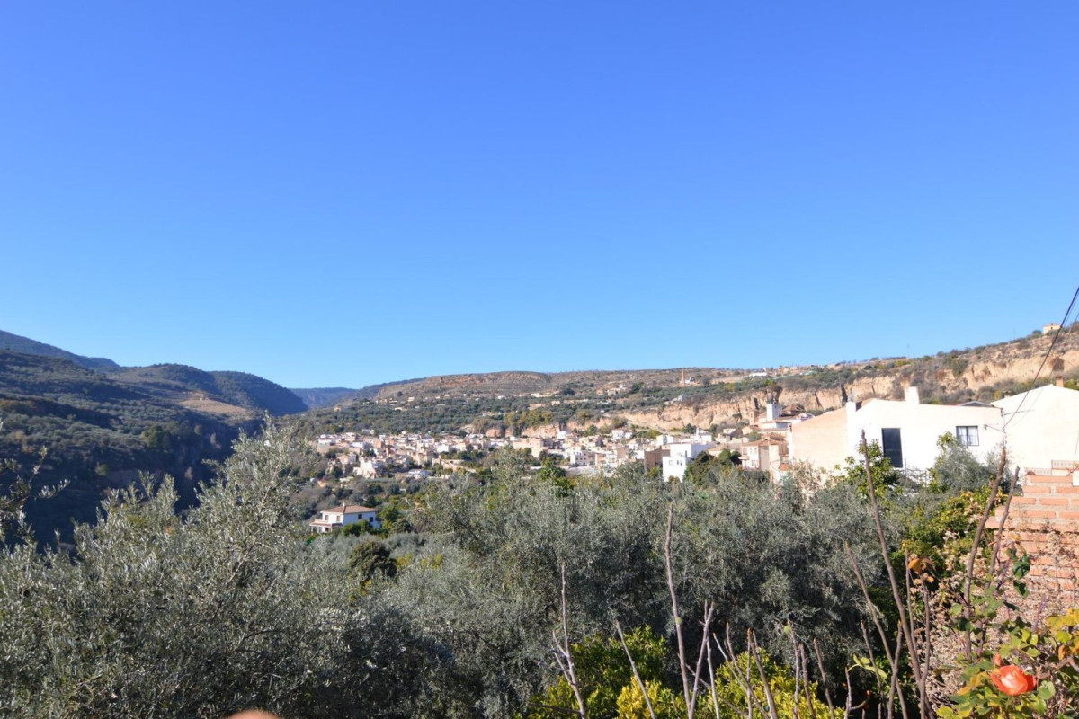 Land for sale in Albuñuelas, Granada photo 3