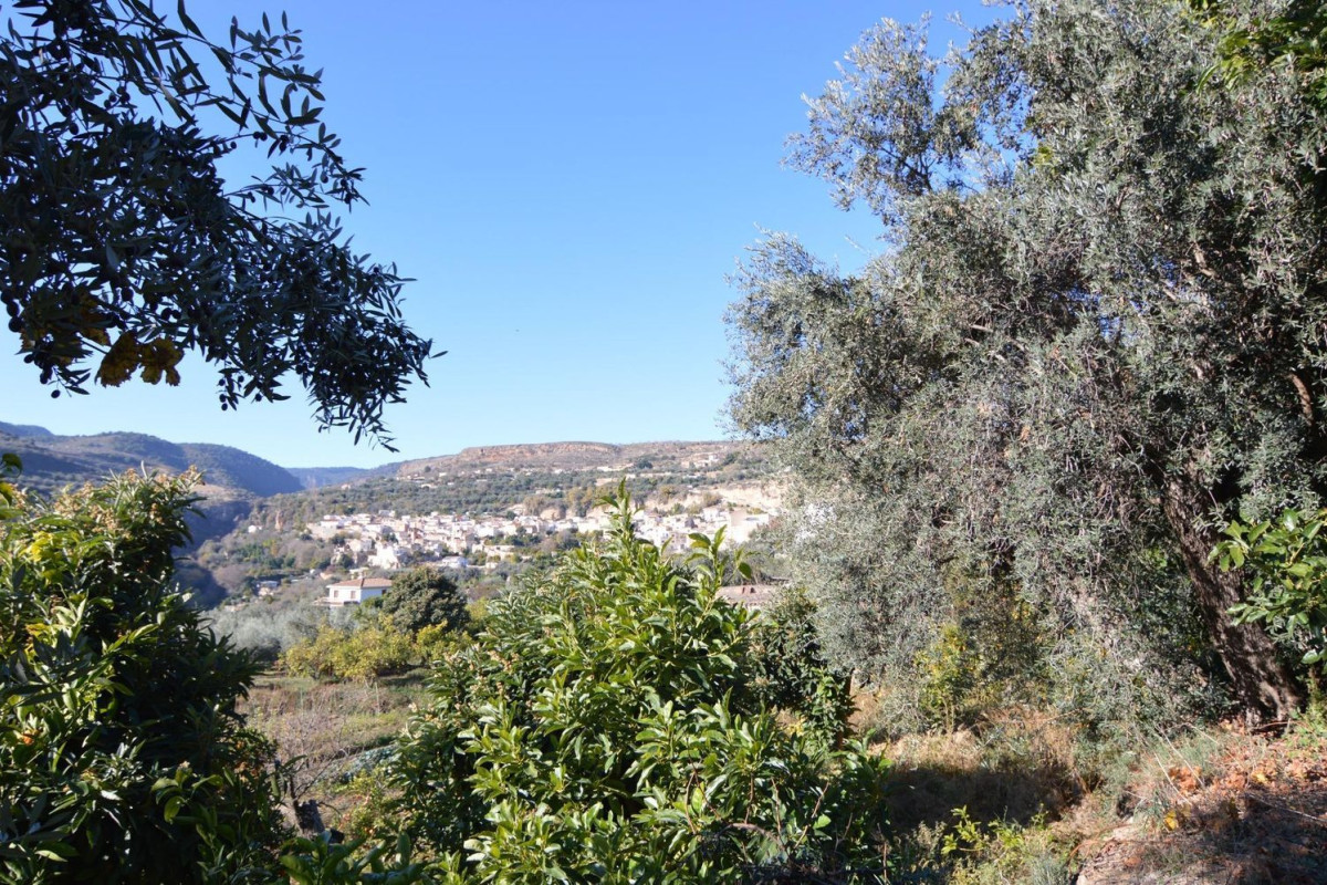 Land for sale in Albuñuelas, Granada photo 4