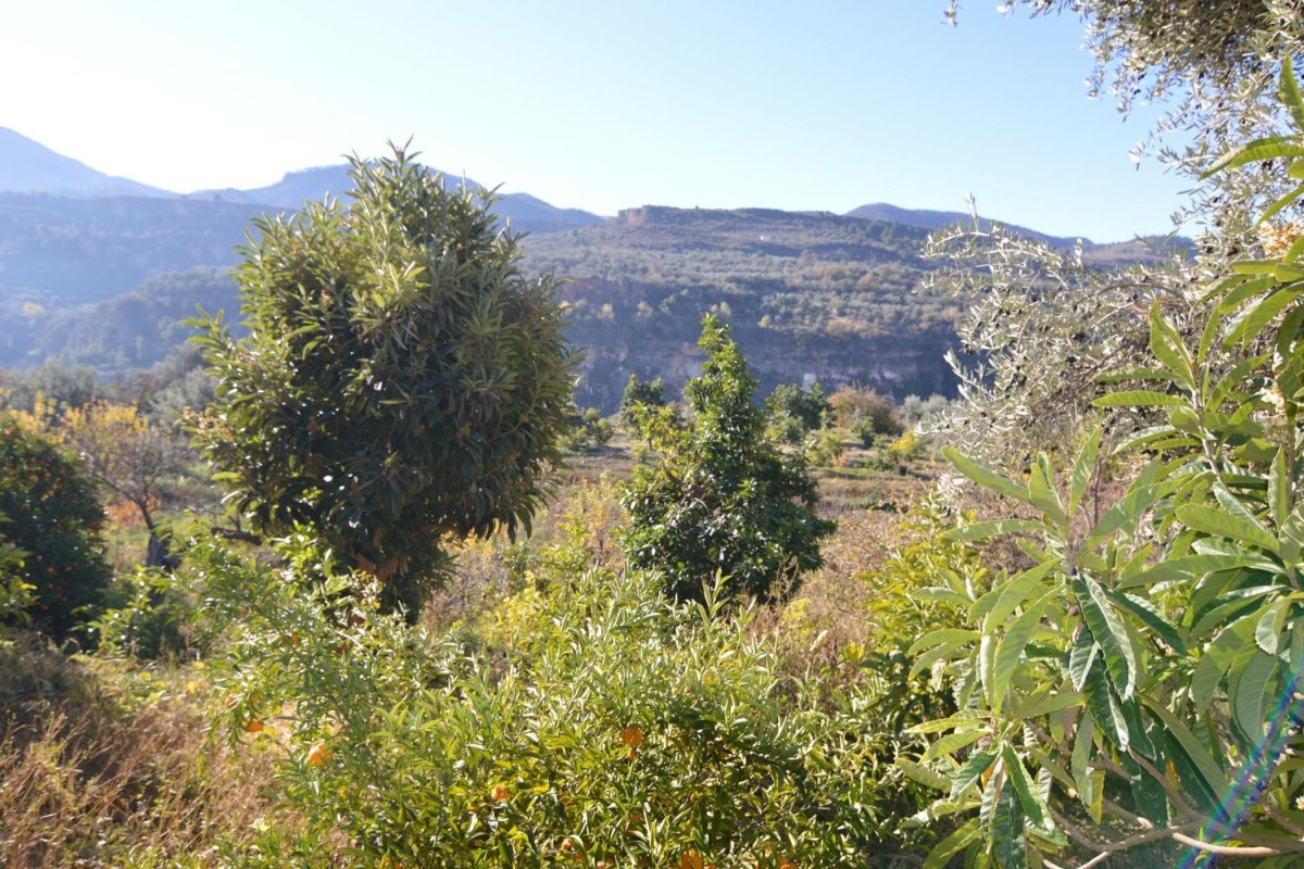 Land for sale in Albuñuelas, Granada photo 5
