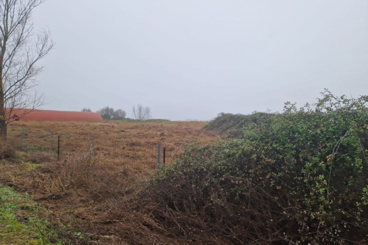 Land for sale in Carcaboso, Cáceres photo 1