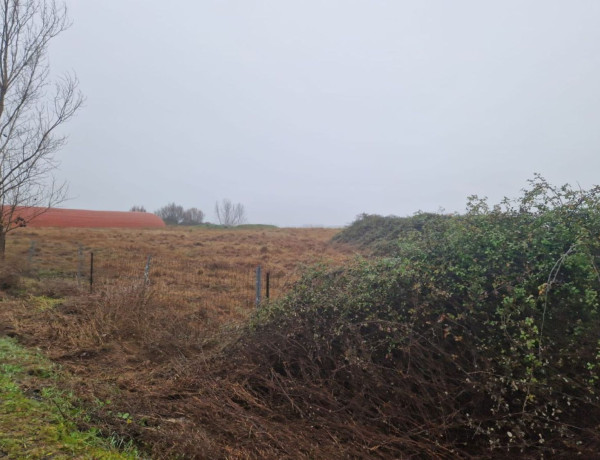 Terreno en venta en Carcaboso photo 1