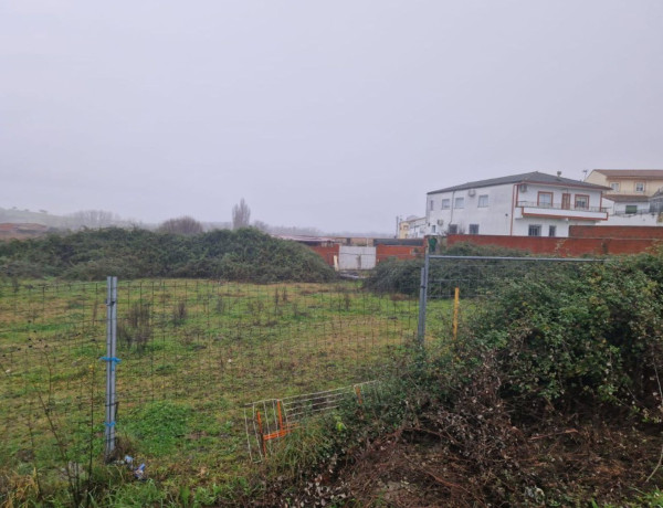 Terreno en venta en Carcaboso photo 3