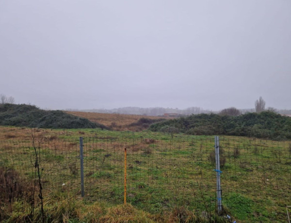 Terreno en venta en Carcaboso photo 4