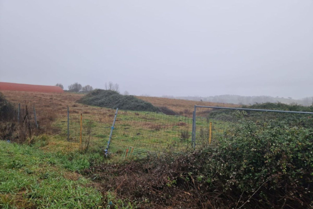 Land for sale in Carcaboso, Cáceres photo 5