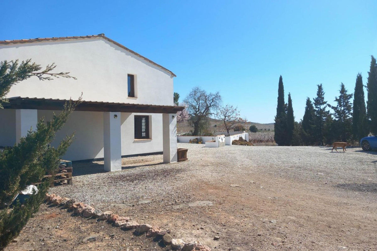 Properties for sale and rent in Spain photo 4
