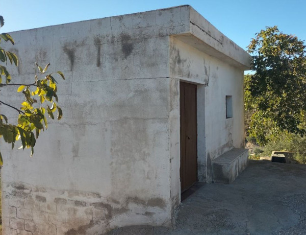 Terreno en venta en El Pinar photo 1