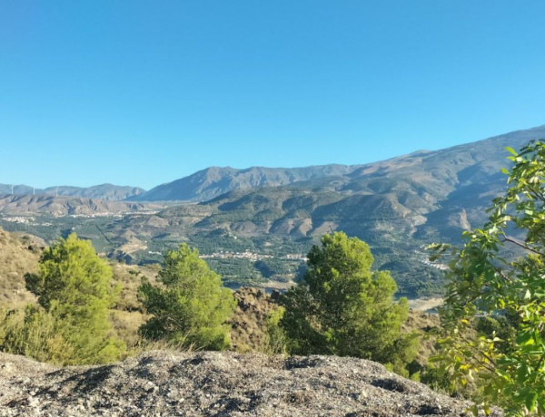 Terreno en venta en El Pinar photo 4