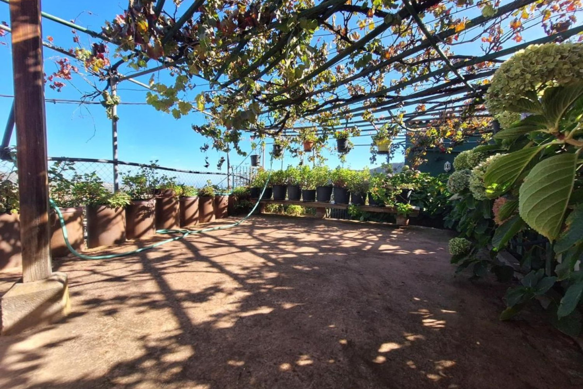 Casa o chalet independiente en venta en Lugar la Agujerada, Valsequillo de Gran Canaria
photo 3