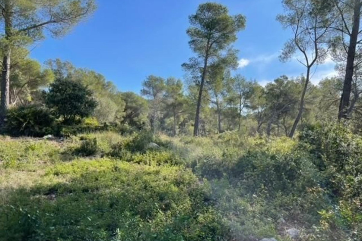 Terreno en venta en Castellet i la Gornal, Barcelona photo 5