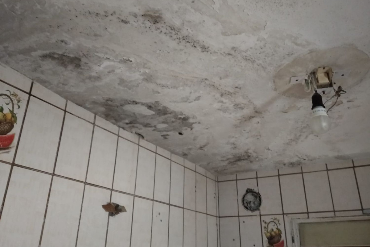 Продажа отдельного шале в , Эскалона photo 2