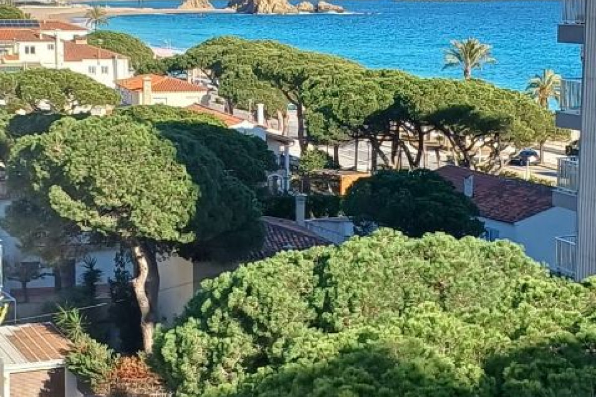 Sprzedaż mieszkania w Paseo s abanell, Blanes
photo 2