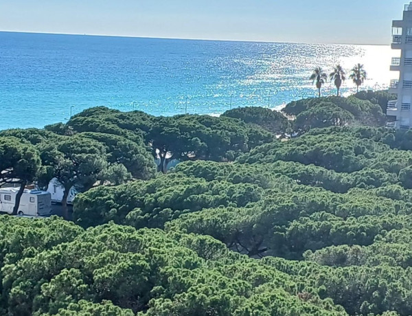 Piso en venta en  Paseo s abanell, Blanes photo 4
