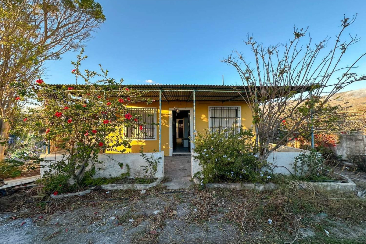 Venta de finca rústica en Motril pueblo , Motril photo 4
