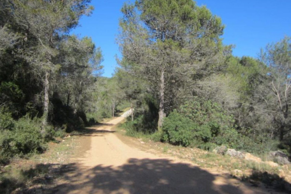 Terreno en venta en Adsubia, Alicante photo 5