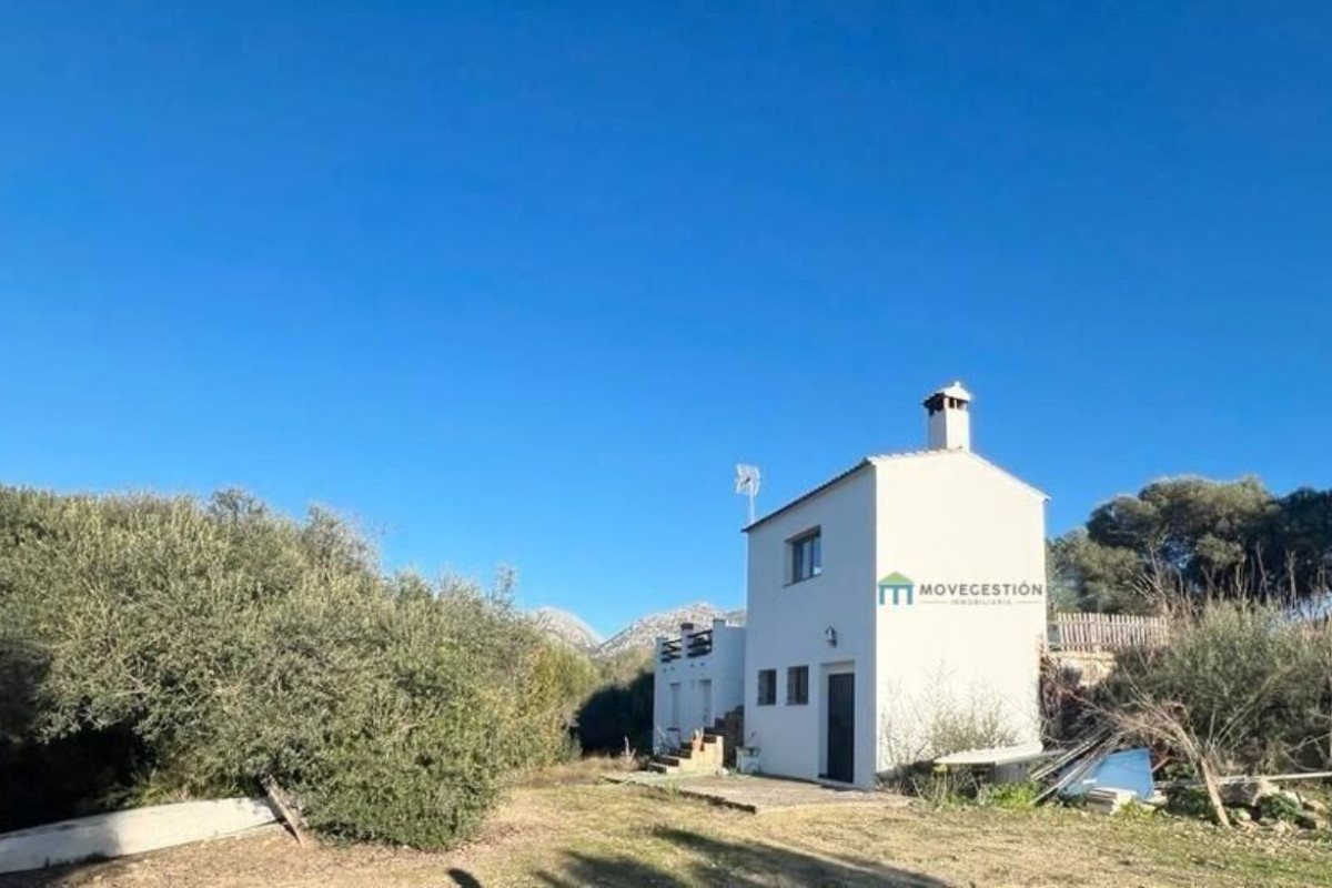 Propiedades en venta y alquiler en España photo 1