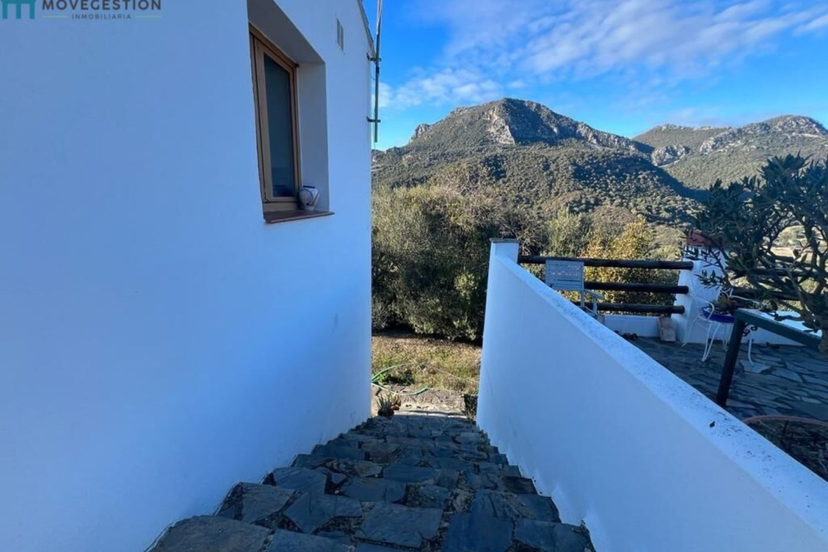 Propiedades en venta y alquiler en España photo 2