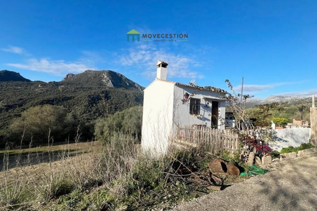 Propiedades en venta y alquiler en España photo 3