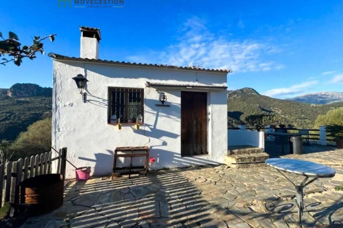 Propiedades en venta y alquiler en España photo 4