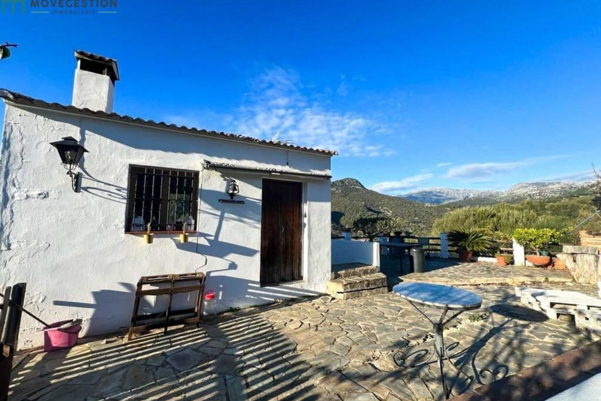 Propiedades en venta y alquiler en España photo 5