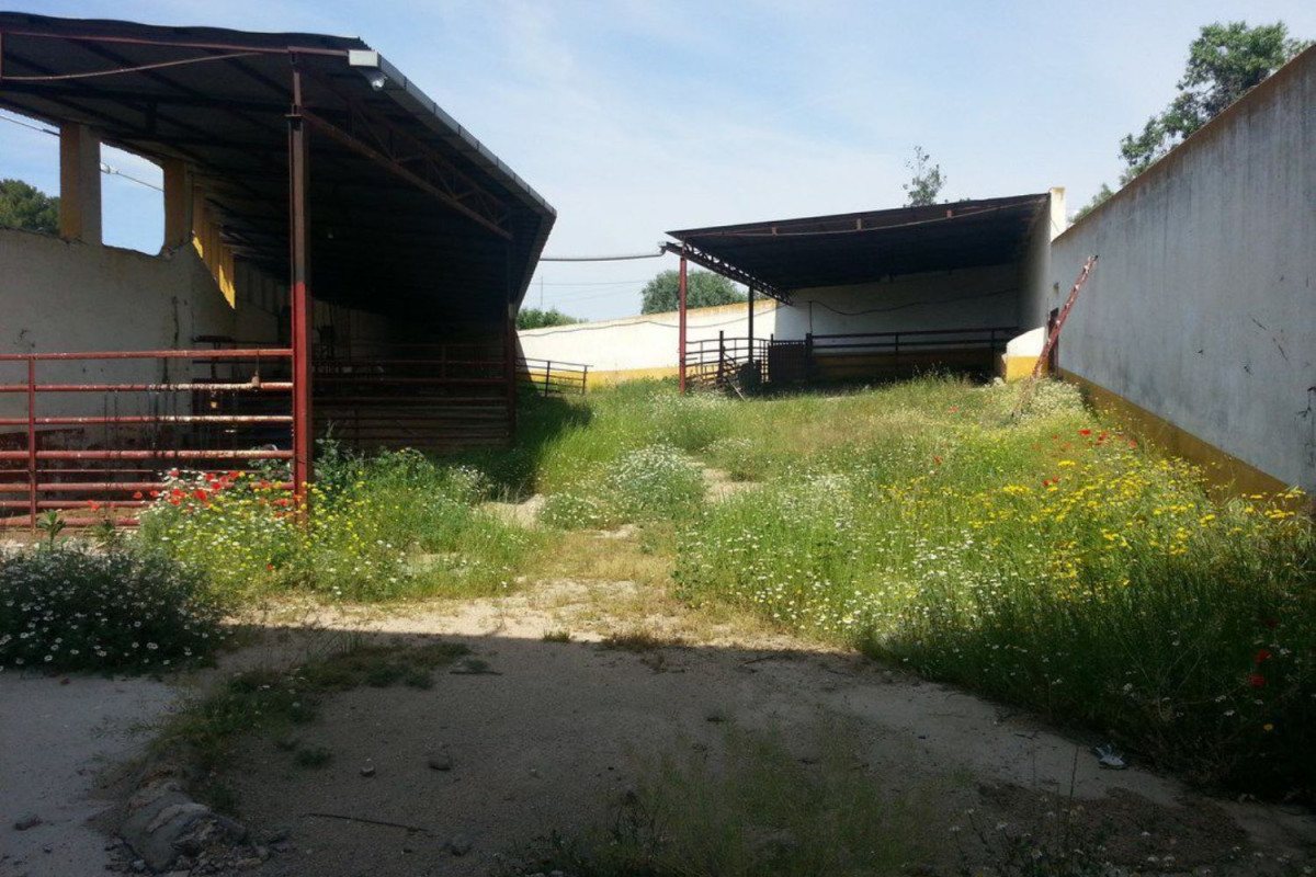 Nieruchomości na sprzedaż i do wynajęcia w Hiszpanii photo 2