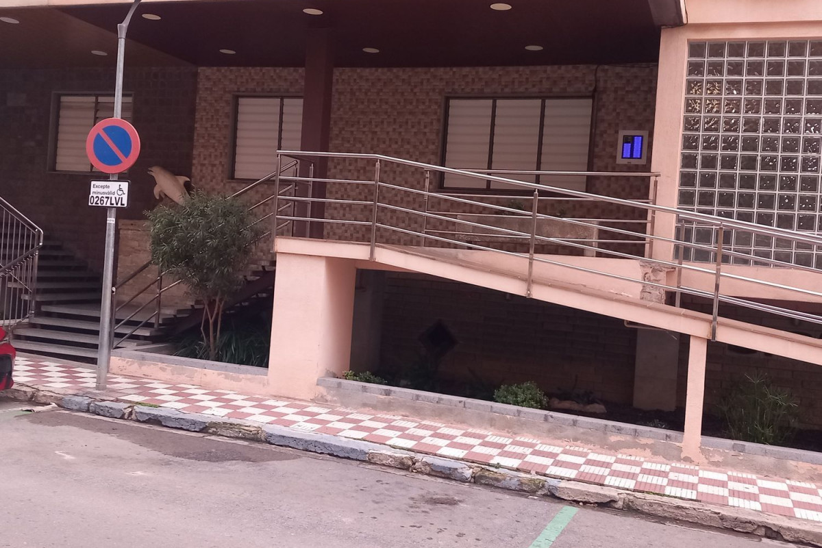 Venta de bajo en FRANCISCO MAS I ABRIL, 36, Premiá de Mar
 photo 4