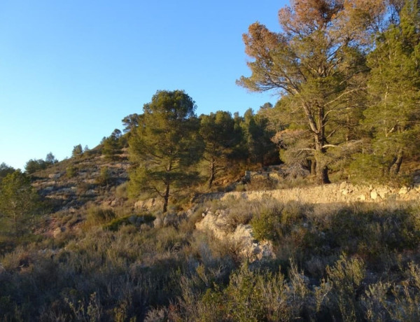 Terreno en venta en Mora d'Ebre photo 3