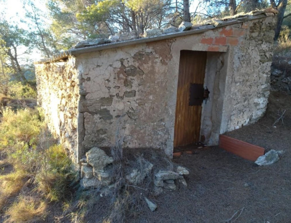 Terreno en venta en Mora d'Ebre photo 4